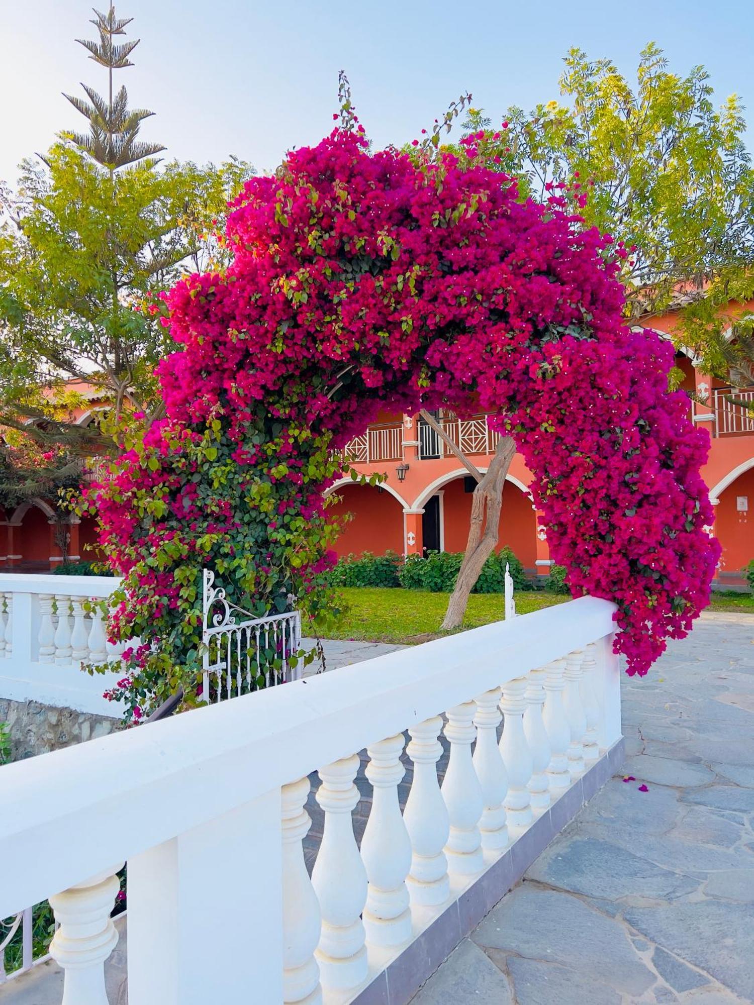 Hacienda San Juan Resort San Juan Bautista Dış mekan fotoğraf